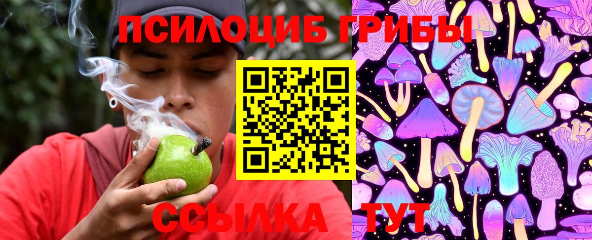 Псилоцибиновые грибы GOLDEN TEACHER Железноводск